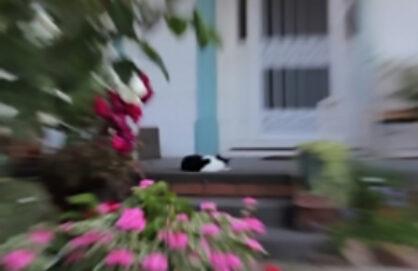 OPENING THIS SATURDAY!