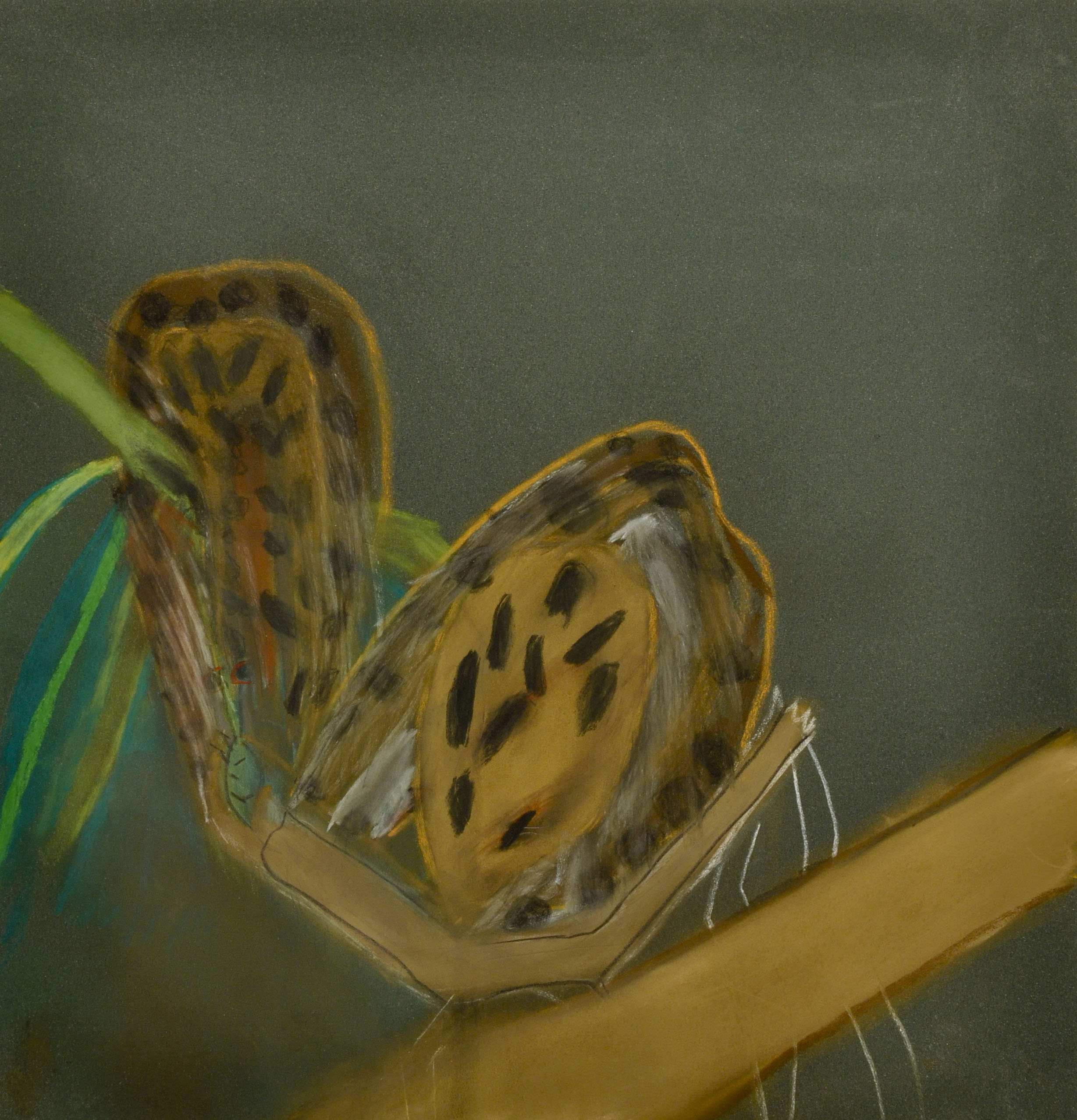 Dionne Canzano, Not titled 2010