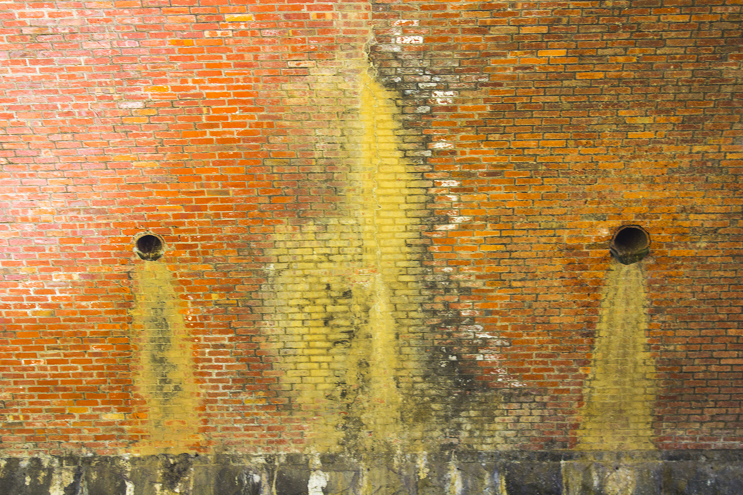 The World Around Us @ Arts Project Australia