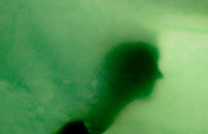 Lachlan Turk Exhibits in Head On Photo Awards