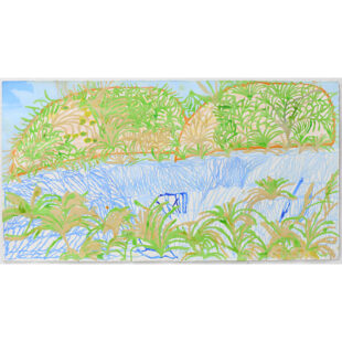 A rich habitat for Birdlife