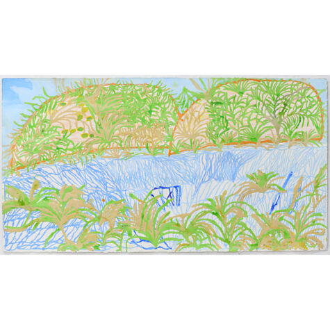 A rich habitat for Birdlife