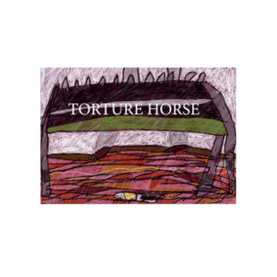 Torture Horse