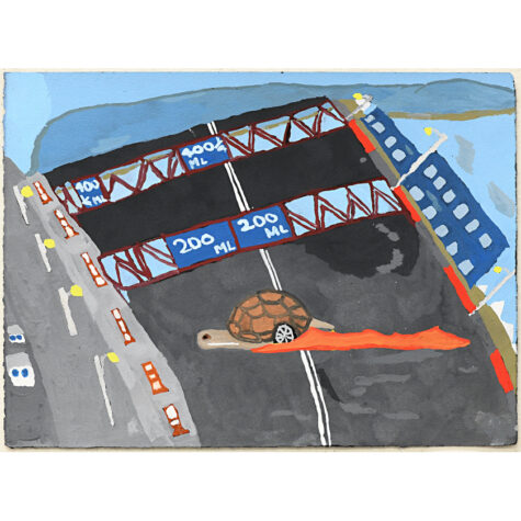 Life in the Fast Lane