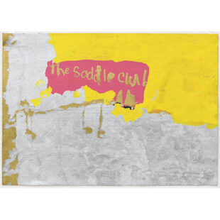 Untitled (The Saddle Club)
