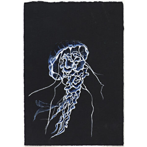 Untitled (blue and white octopus)