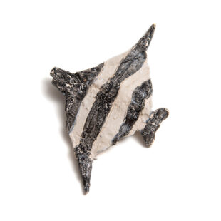 black and white fish