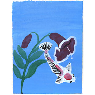 Japanese Koi Fish by the Pond