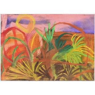 The Western Arid Region