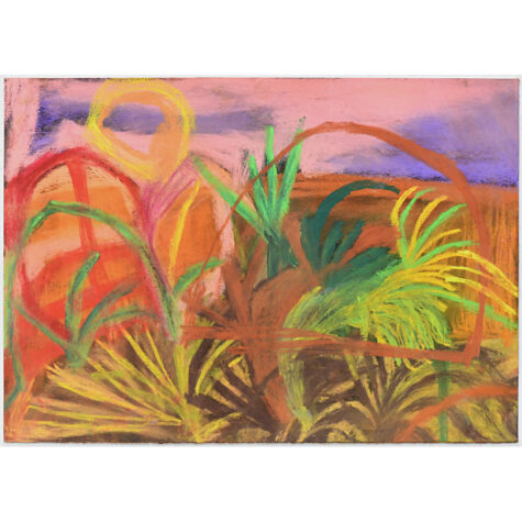 The Western Arid Region