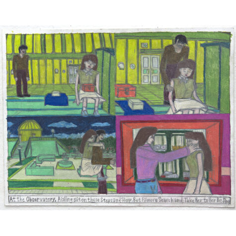 At the Observatory Aisling sit on these Steps and Sleep, But Filmore Search and Take Her to Her Pet Shop